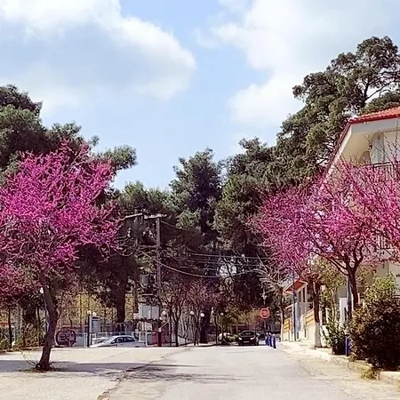 Apartment Avra's In Hanioti